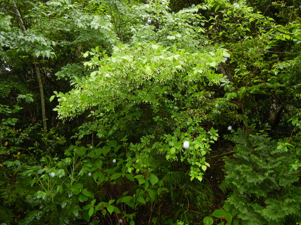 2011年5月11日(水)雨の日も楽し♪_f0060461_23114985.jpg