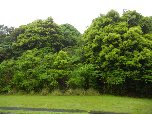 2011年5月11日(水)雨の日も楽し♪_f0060461_238259.jpg