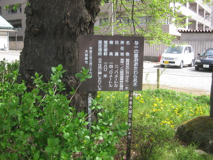 企画「大田原をもっと知ろう!」・・・その2、紫塚③。_b0063162_22533218.jpg