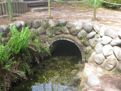 企画「大田原をもっと知ろう!」・・・その2、紫塚③。_b0063162_2332465.jpg