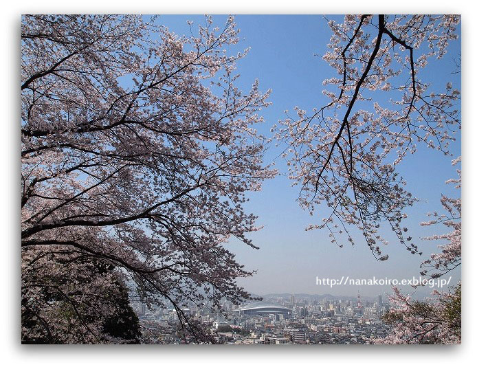 今年最後の桜の風景_e0153963_2310178.jpg