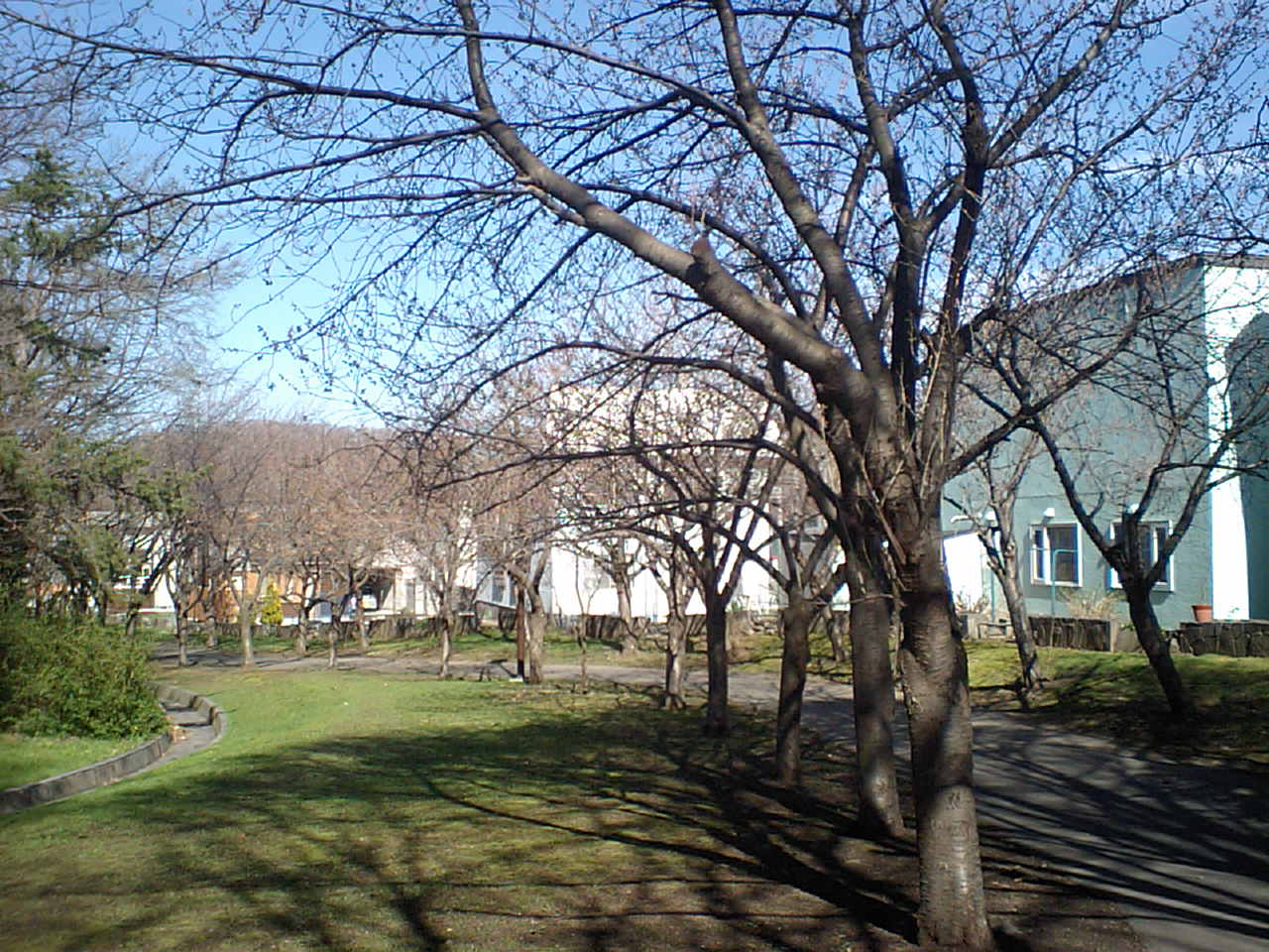 d0098665_17281632.jpg