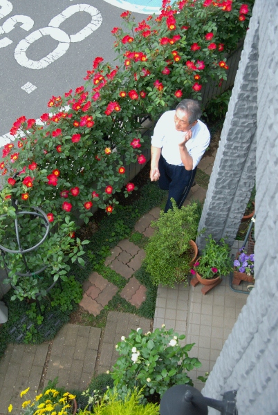 f0065768_17453224.jpg