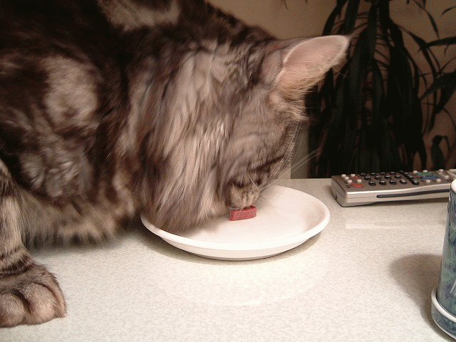 a0135577_14363313.gif