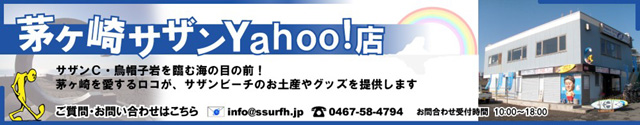 ニューオープン、「茅ヶ崎　サザン　Yahoo!店」_f0089978_23262738.jpg
