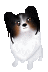b0136683_22103711.gif