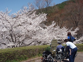 a0146388_9274735.jpg