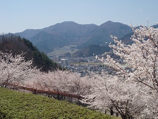 a0146388_92855100.jpg