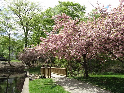 b0209691_2385387.jpg