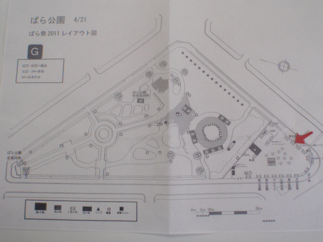 福山ばら祭　2011　に出展します。_b0201492_8341822.jpg