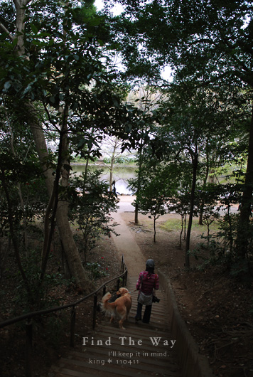 桜咲く今 2/2_f0054594_4121385.jpg