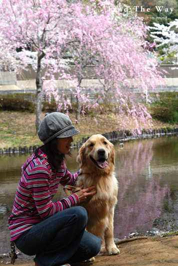 桜咲く今 2/2_f0054594_4153265.jpg
