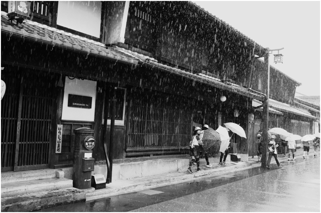 「面白うて　やがて悲しき　鵜飼かな」_a0200696_1413530.jpg