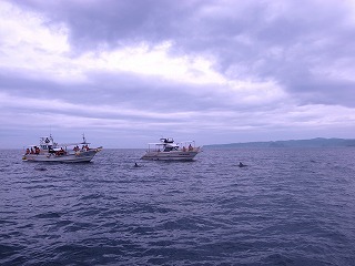 d0230096_12521568.jpg