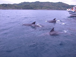 熊本観光2日目☆_d0230096_12562217.jpg