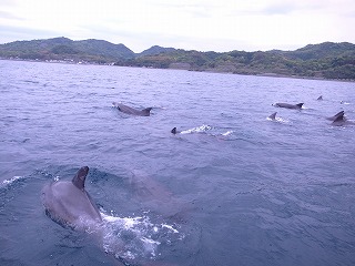 熊本観光2日目☆_d0230096_12575459.jpg