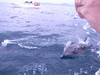 d0230096_12592128.jpg