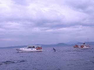 d0230096_13125063.jpg