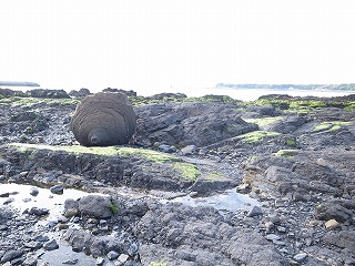 d0230096_94817.jpg