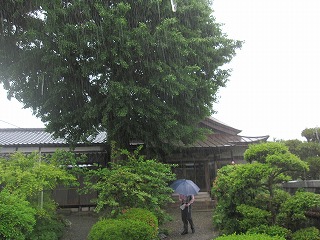 瀬高町下庄の神社仏閣巡りと新緑満喫２・千寿の楽しい歴史_a0137997_402680.jpg