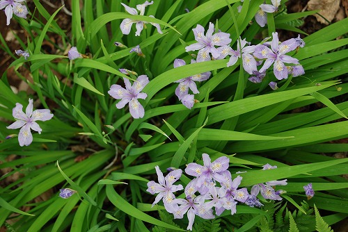 c0124100_23341180.jpg