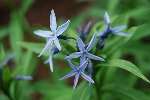 c0124100_23355195.jpg