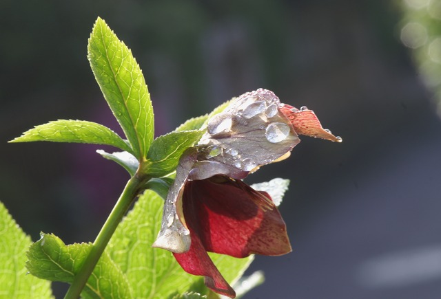 e0039703_052526.jpg