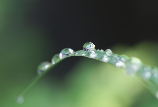 雨に魅せられて・・・_e0039703_09497.jpg