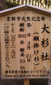 a0200204_20434532.jpg