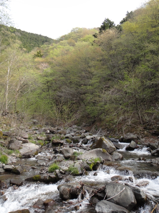 b0172805_504511.jpg