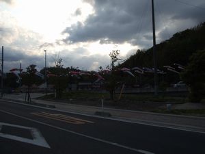 a0125706_013358.jpg