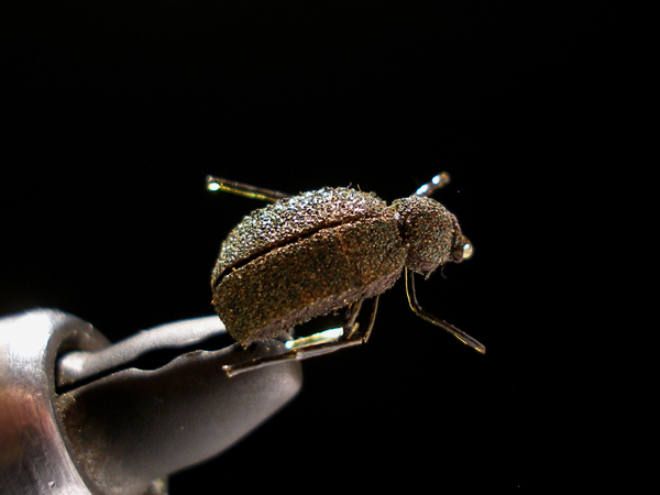 a0176707_21412150.jpg