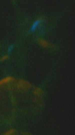 e0103408_5464353.jpg