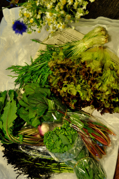 f0188408_17383277.jpg
