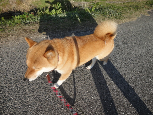 雨に濡れて_e0201009_23303029.jpg