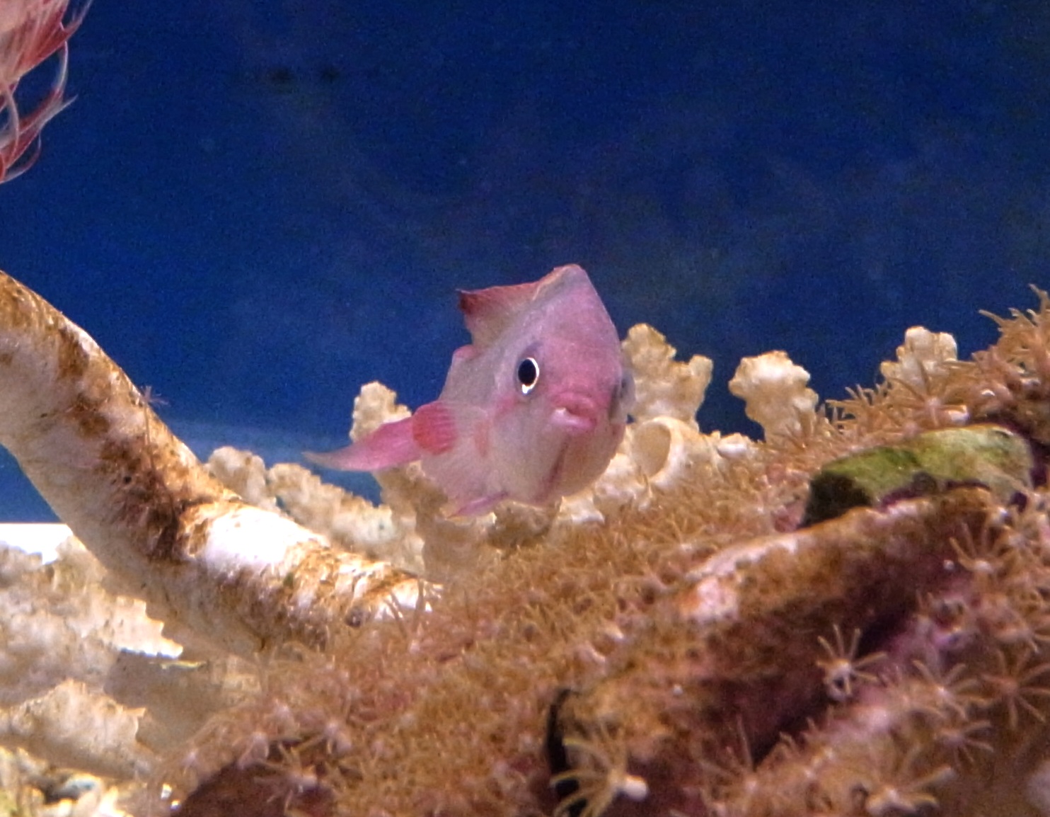 c0147116_14125828.jpg