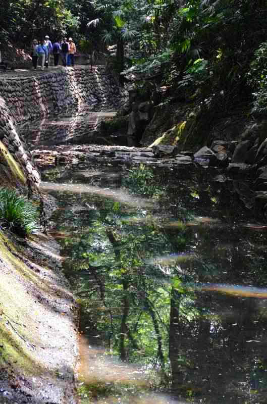 d0065116_1913078.jpg