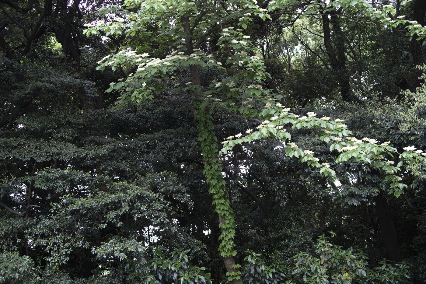 c0213117_1211243.jpg