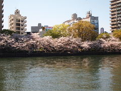 a0157619_21463978.jpg