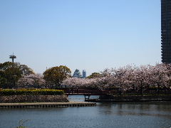 a0157619_21474218.jpg
