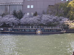 a0157619_2148579.jpg