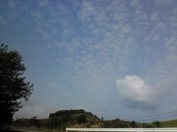 c0097620_2332085.jpg
