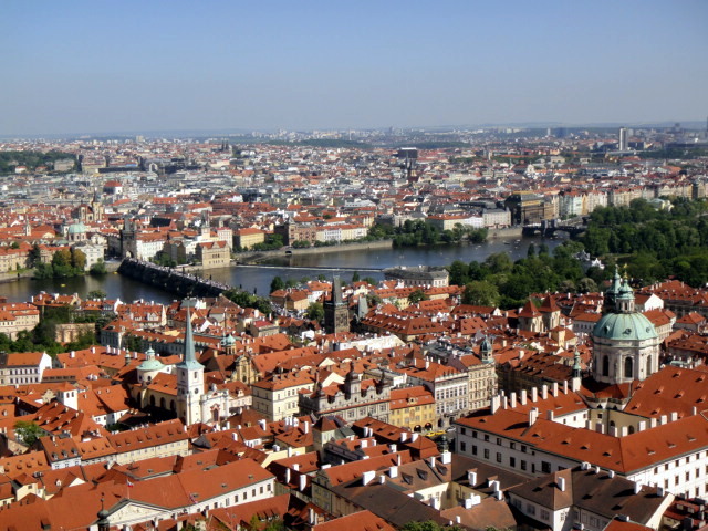 d0049723_784454.jpg