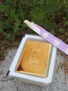 e0008223_5375144.jpg