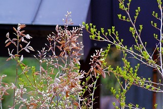 f0170524_18582319.jpg