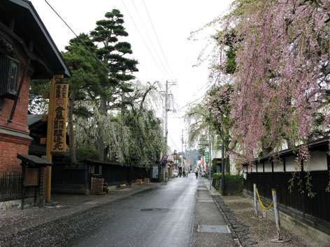 惜春・東北の旅　　Ⅰ　角館編_f0129726_2275928.jpg