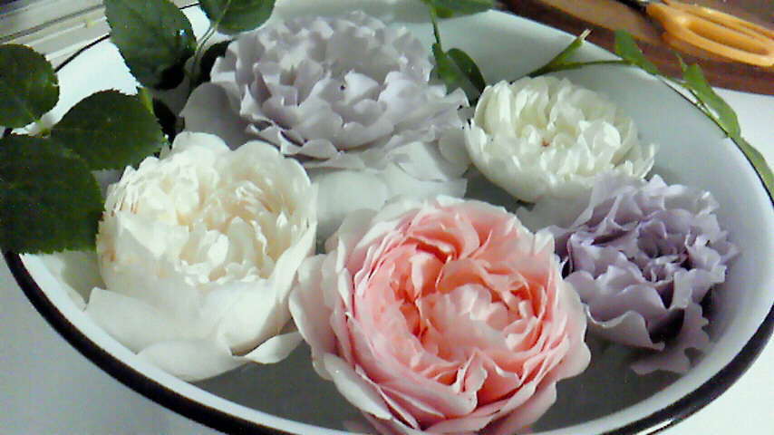 c0227728_1047557.jpg
