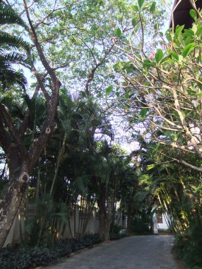 a0122532_11435752.jpg