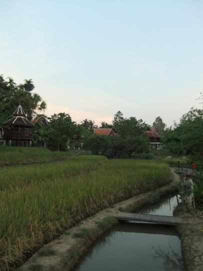 a0122532_11481013.jpg