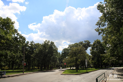 102 High Park ~最後のハイパーク~_c0211532_0174461.jpg